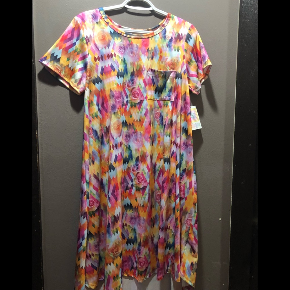 NWT Carly Dress
